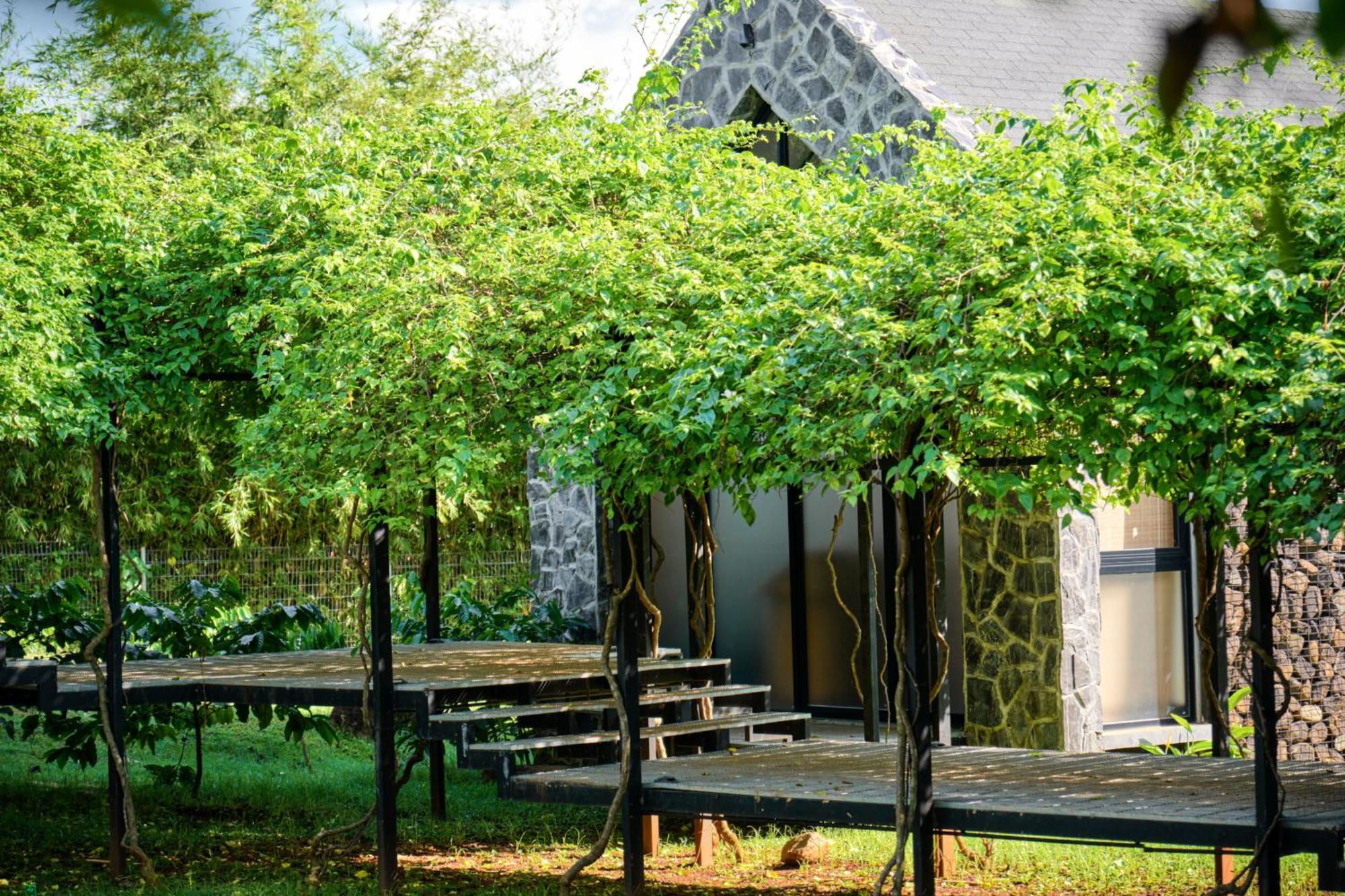 The Coffee City - Healing & Retreats Buon Ma Thuot Exterior foto